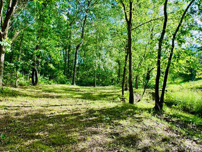 211 Clemon Rd, House other with 1 bedrooms, 1 bathrooms and null parking in Whitesburg TN | Image 10