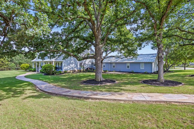 Front Yard and Walkway from Driveway | Image 32