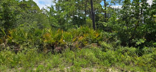 24 Elm St, Santa Rosa Beach, FL, 32459-6374 | Card Image