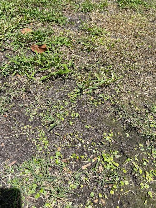 1065 Whispering Creek Way, OSTEEN, FL, 32764-9135 | Card Image