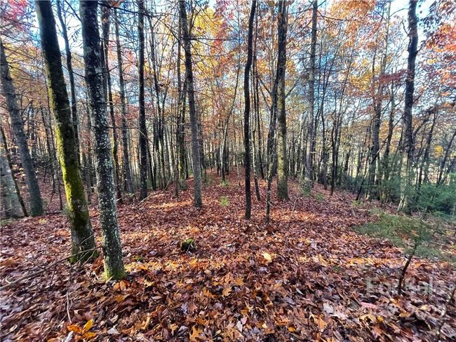 4 - 9999 Sassafras Ln, Home with 0 bedrooms, 0 bathrooms and null parking in Cedar Mountain NC | Image 13