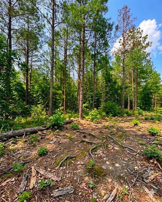 Land in Broken Bow