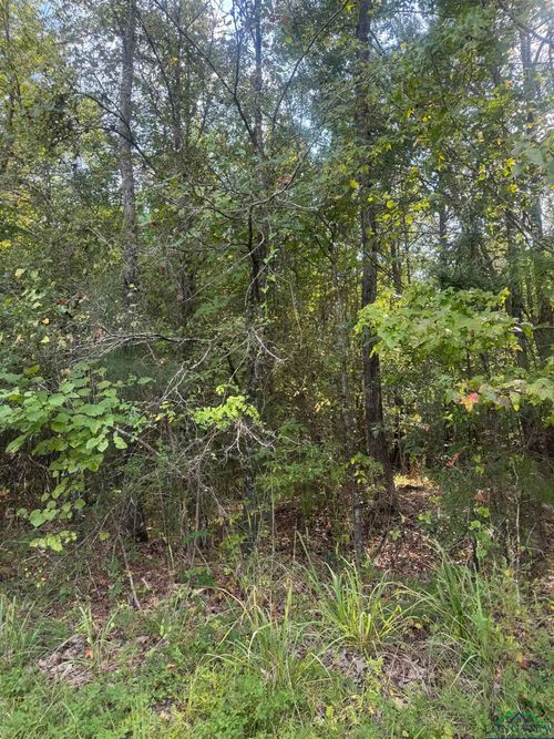 000 S Indian Springs Dr, Marshall, TX, 75672 | Card Image
