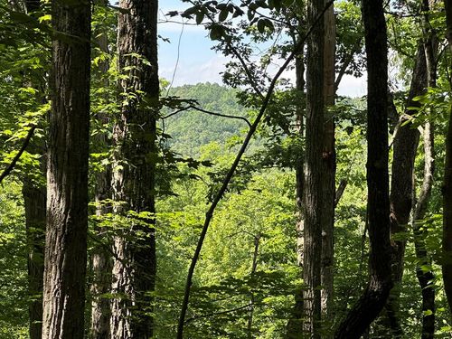 12.34 Ac 34th St, Ellijay, GA, 30540 | Card Image