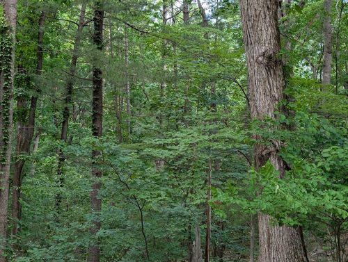 0 Bousman Cir, Hardy, VA, 24101 | Card Image