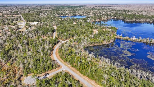 7 Seven Springs Dr, Home with 0 bedrooms, 0 bathrooms and null parking in Wewahitchka FL | Image 4