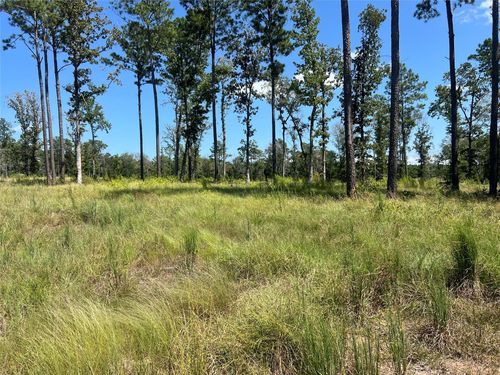 TBD Ray Marsh Rd, Livingston, TX, 77351 | Card Image