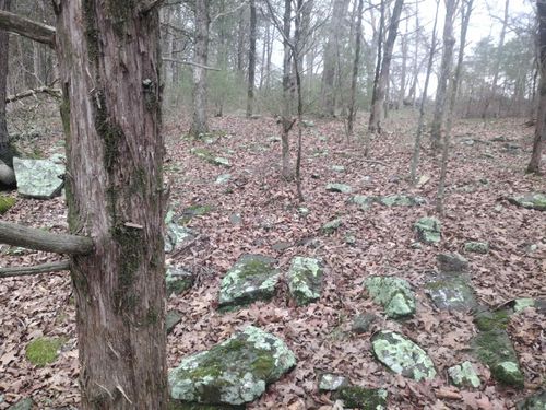 tract 3 Hwy 14 E, Mountain View, AR, 72560 | Card Image