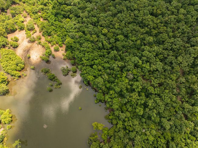 DJI_20250710123009_0151_D | Image 26