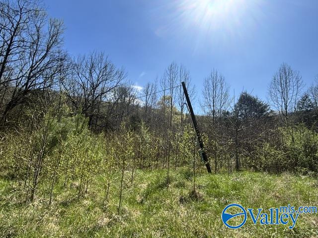 Land in Stevenson 4