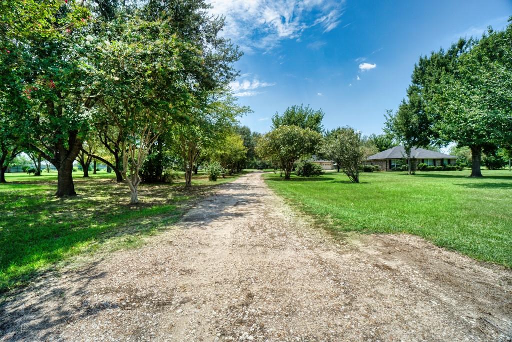 Farm in Katy 3