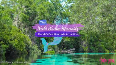 SH Weeki Wachee Sign | Image 3