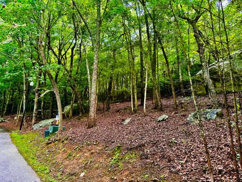 0 Eagle Creek Trl, Rising Fawn, GA, 30738 | Card Image