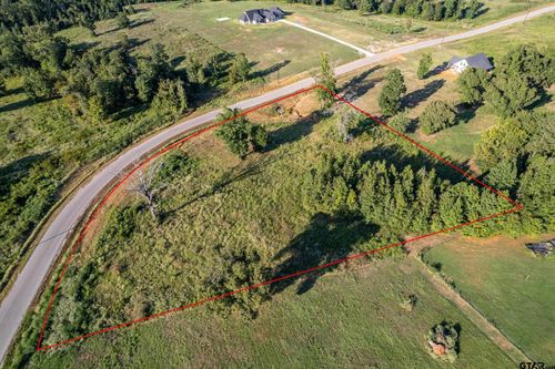 lot-108-16534 Ridgeline Loop, Winona, TX, 75792-6213 | Card Image