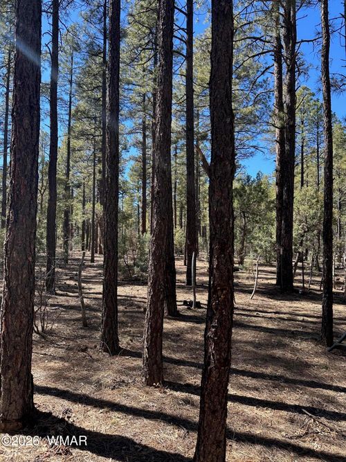 3725 Bear Trl, Lakeside, AZ, 85929-6961 | Card Image