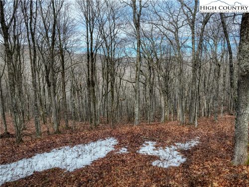 97 Elk Creek Mountain Pkwy, Todd, NC, 28684 | Card Image