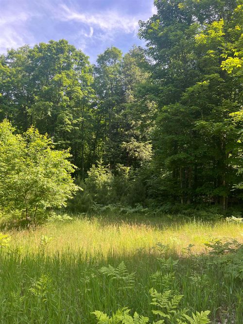 Parcel G O'Dell Road, Whitewater Township, MI, 49690 | Card Image