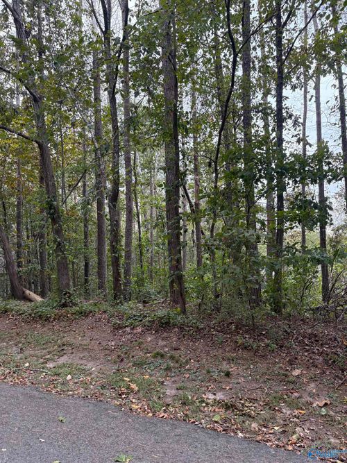 LOT 105 Creekwood Dr, Cherokee Ridge, AL, 35175-7988 | Card Image