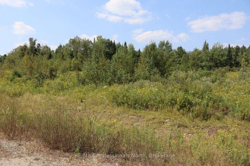 1010 Piper Glen Road, Minden Hills, ON, K0M2K0 | Card Image