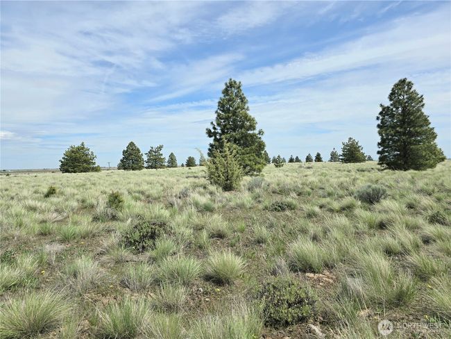226 Duree Rd, Home with 0 bedrooms, 0 bathrooms and null parking in Bickleton WA | Image 9