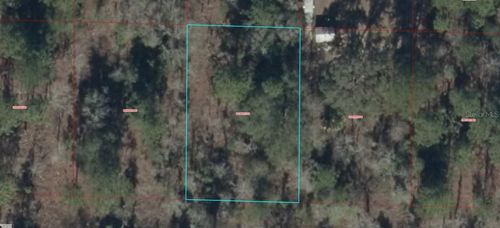 0930201700 Ne 16th Ln, Williston, FL, 32696 | Card Image