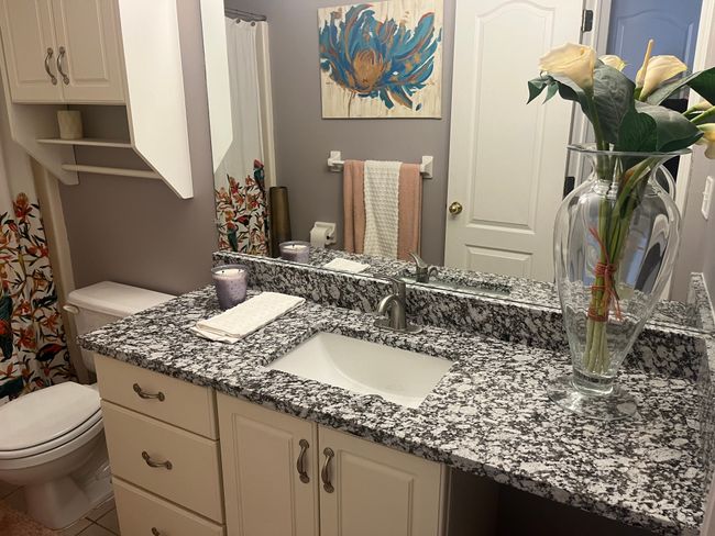 1411 Rillview Ct, House other with 3 bedrooms, 3 bathrooms and null parking in Metamora MI | Image 22