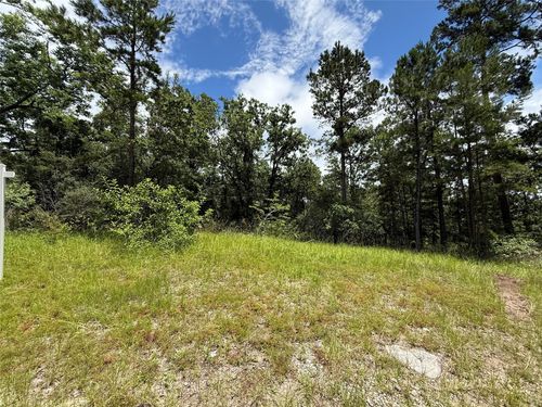 TBD Arrow Head Lot 268 Lane, Huntsville, TX, 77320 | Card Image