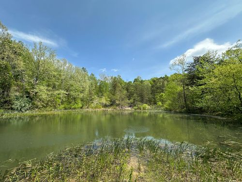 31 Clay Camp Road, Grayson, KY, 41143 | Card Image