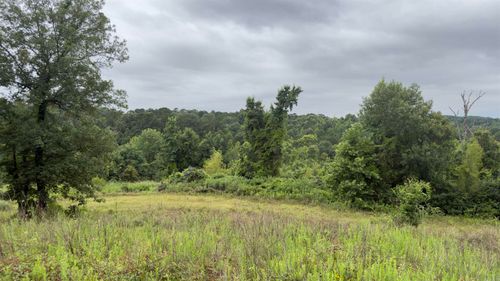 80 Acres N Lakeside Dr, De Queen, AR, 71832 | Card Image