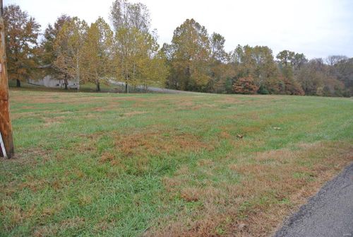 0 Lot 18 Circle Drive, St Mary, MO, 63673 | Card Image