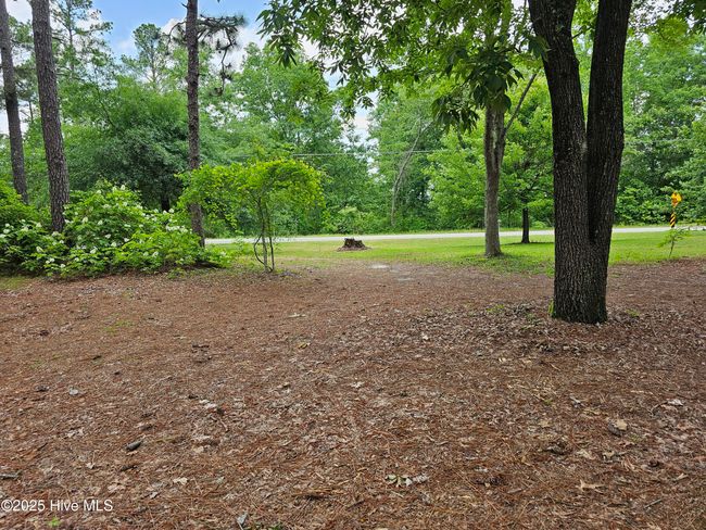 181 Joel Rd, Home with 0 bedrooms, 0 bathrooms and null parking in Carthage NC | Image 14