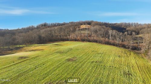 lot-1-261 Dotson Ln, Church Hill, TN, 37642-6011 | Card Image