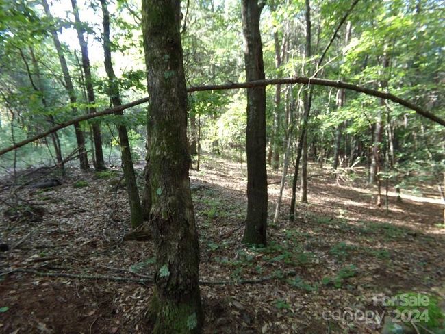 Old Terrace on Left of Photo -Private Woods | Image 5