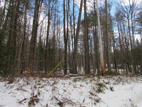 1192 Haven Hill Rd, South Londonderry, VT, 05155 | Card Image