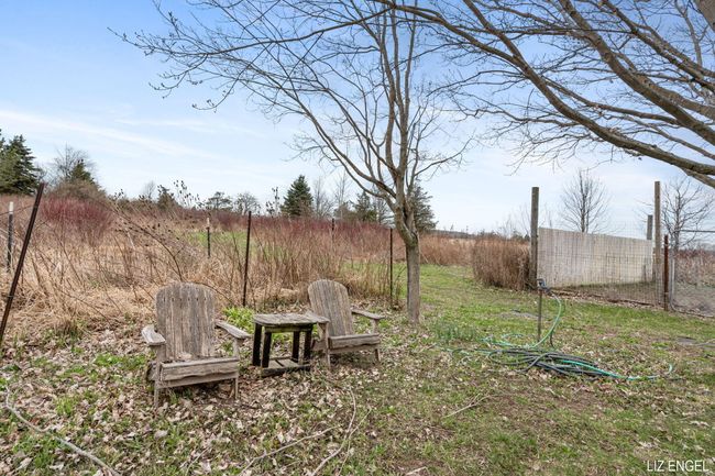 Berry Patch | Image 32