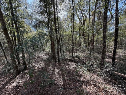 T/B/D Ne 80th St, BRONSON, FL, 32621 | Card Image