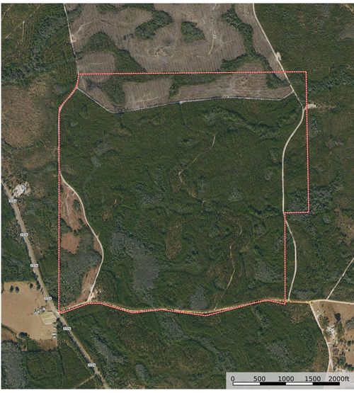 1 Firebreak 21 Road, Hosford, FL, 32334 | Card Image