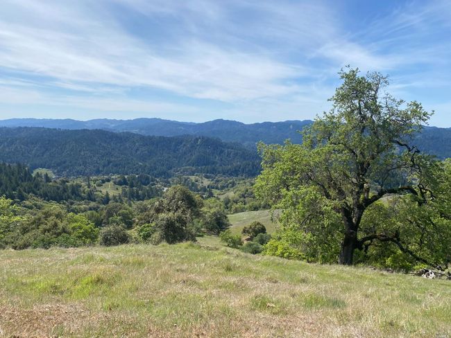 19010 Hulbert Rd, Home with 0 bedrooms, 0 bathrooms and null parking in Yorkville CA | Image 21