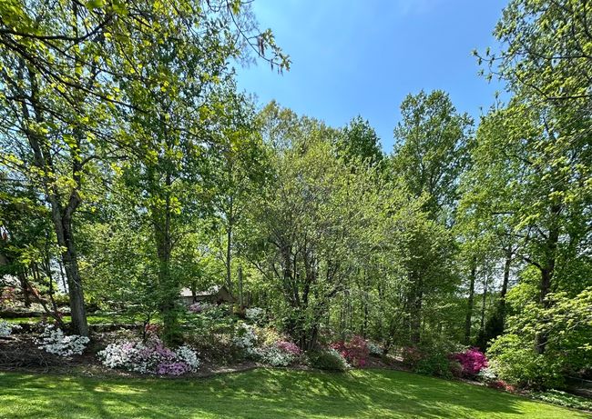 189 Caseys Trl, House other with 4 bedrooms, 4 bathrooms and null parking in La Fayette GA | Image 9