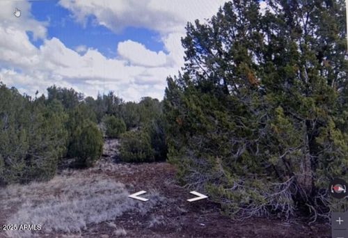 1-8426 Silver Creek Dr, Show Low, AZ, 85901 | Card Image