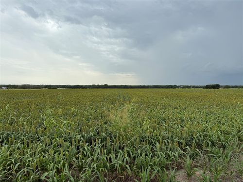 TBD0000 County Road 237, Gainesville, TX, 76240 | Card Image