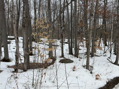 0 Tally Ho Winter Park Rd, Huntsville, ON, P1H2J6 | Card Image