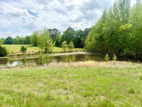 73.22 acres Greene 620 Road, Paragould, AR, 72450 | Card Image
