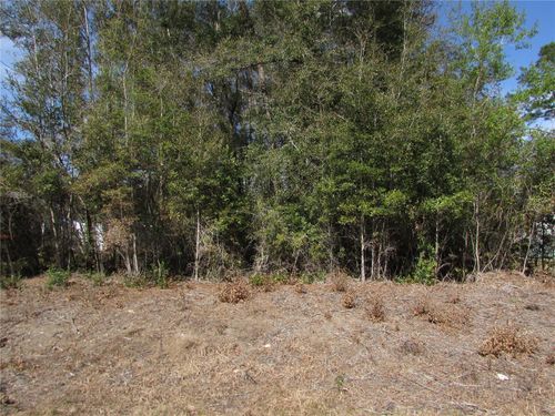 Lot 32 Sw Robin Drive, DUNNELLON, FL, 34431 | Card Image