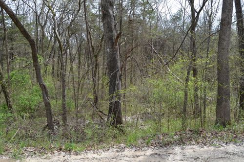 000 Poplar Rd, Rockaway Beach, MO, 65740 | Card Image