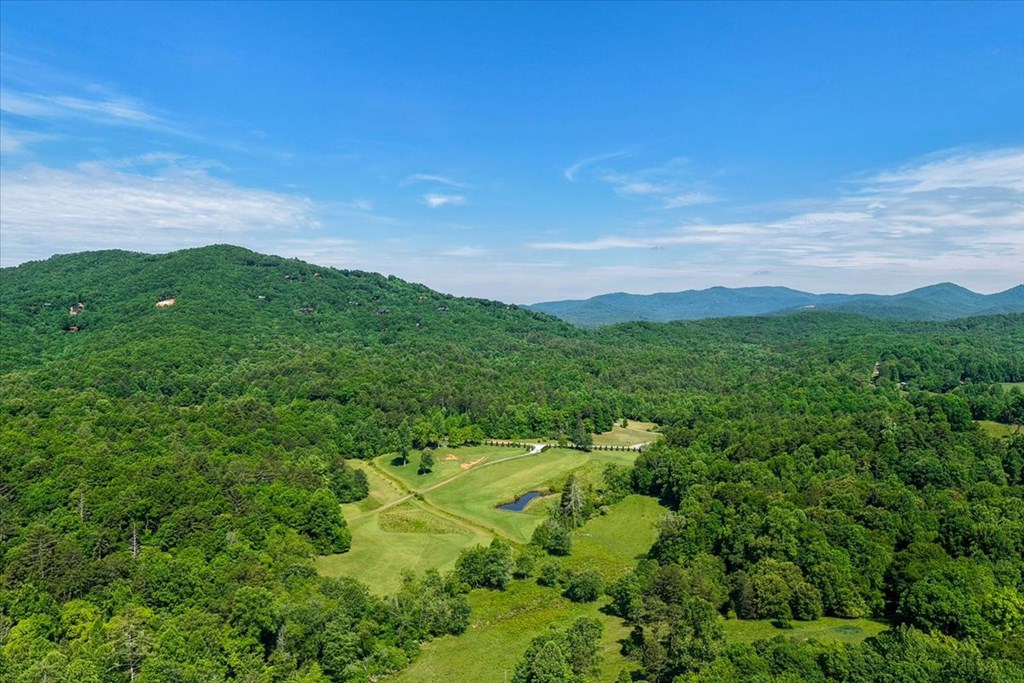 Land in Mineral Bluff 2