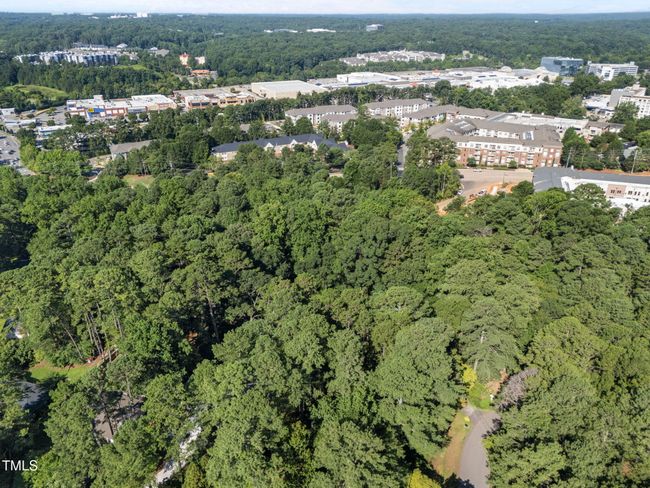 16-web-or-mls-DJI_20250718093027_0118_D | Image 17