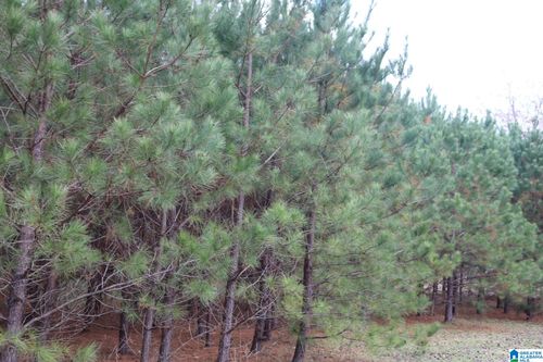 27-3170 Crest Oval Mountain Rd, BESSEMER, AL, 35023-3734 | Card Image