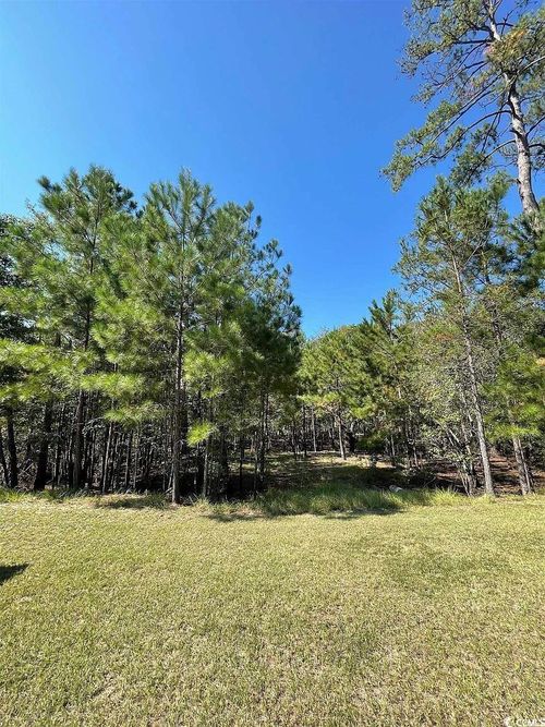 314 Cypress Flat Ct, Conway, SC, 29526-7089 | Card Image