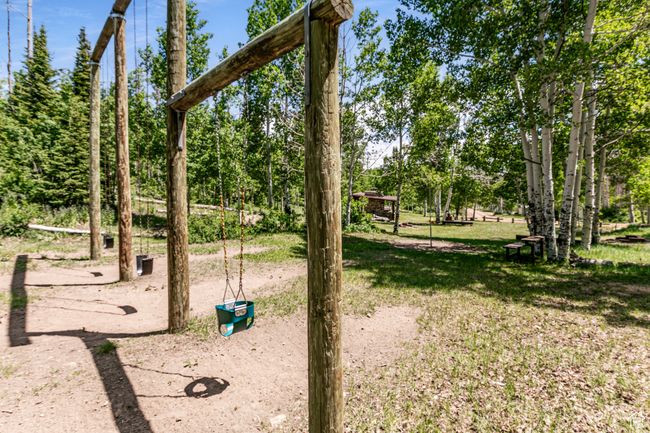 View of grassy yard | Image 30